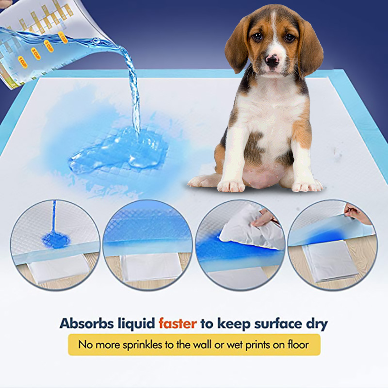 Pet health products